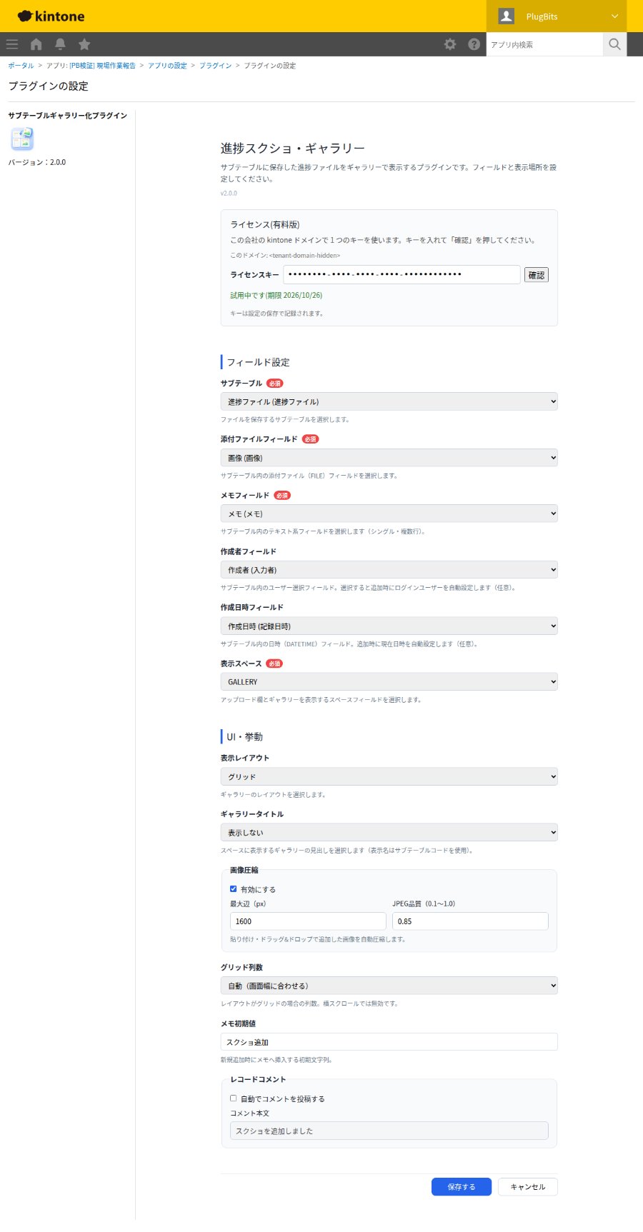 プラグイン設定画面の全体(ライセンスキーは伏せ字で表示)