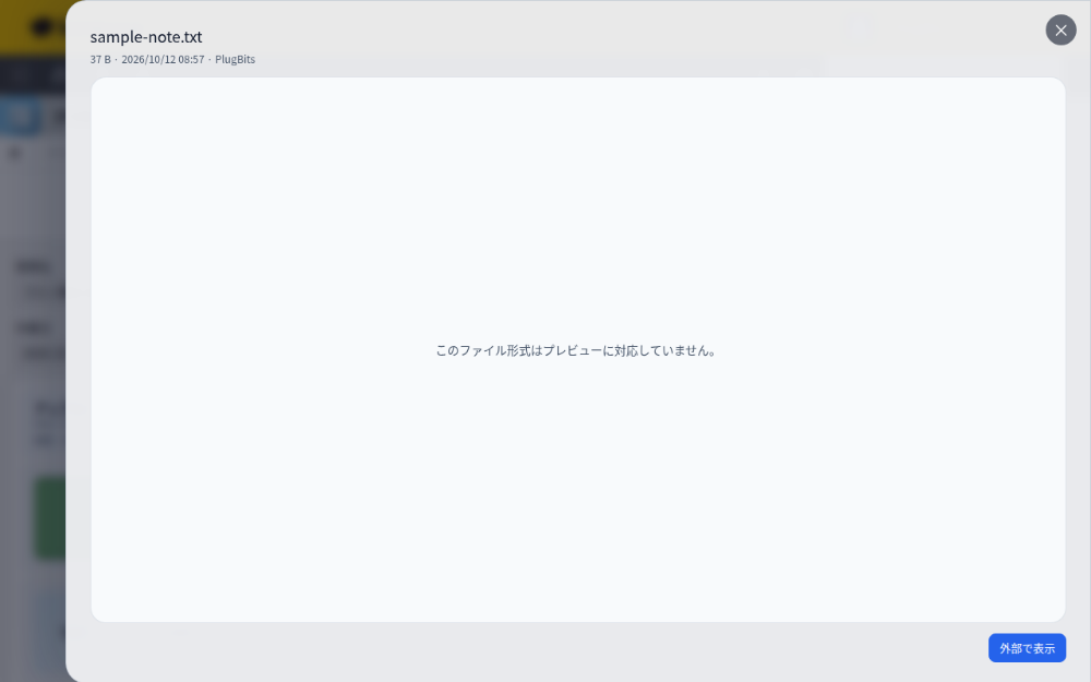 その他ファイル(画面内プレビュー非対応)を開いた画面。「外部で表示」から開けます